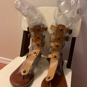 Brown Gladiator Sandals